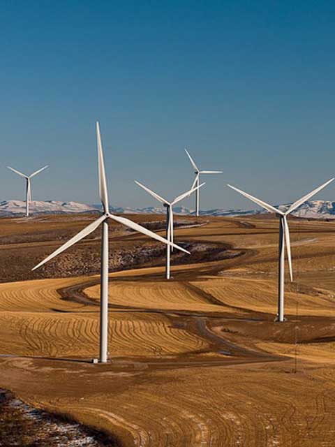 秋思短信轰炸平台